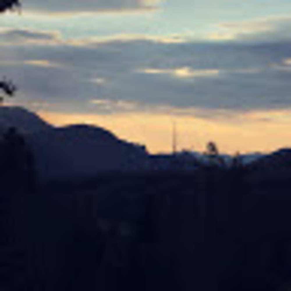 Meet your Posher, Paige